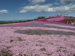 茶臼山高原　Chausuyama Plateau