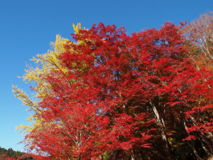 大井平公園-05