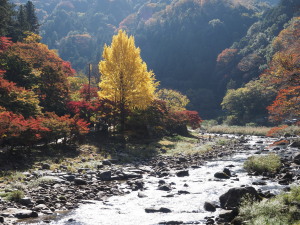 香嵐渓-14