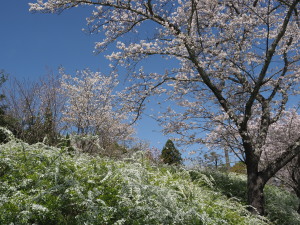 愛知県緑化センター-05