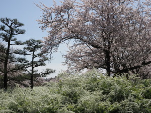 愛知県緑化センター-10