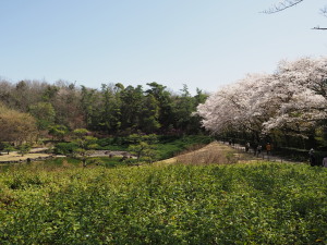 愛知県緑化センター-13