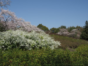 愛知県緑化センター-14