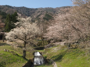 霞間ヶ渓-08