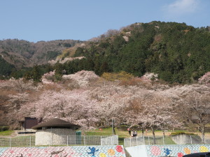 霞間ヶ渓-10