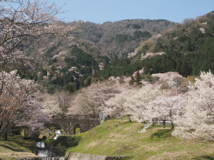 霞間ヶ渓-14