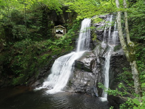 宇津江四十八滝-14 上段（じょうだん）滝