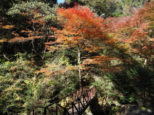 鬼岩公園-07