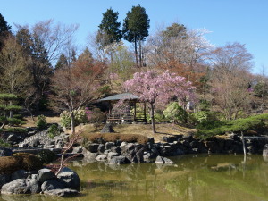 桜山公園-04