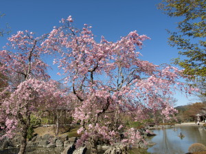 桜山公園-06