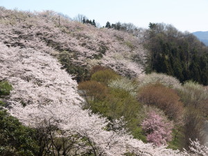 桜山公園-09