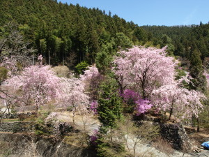 桜山公園-16