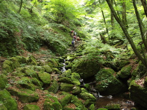 秩父御嶽山　Mt. Ontake