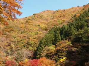 中津峡　Nakatsukyo