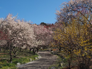 いなべ市農業公園-11