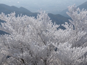 御在所岳-06