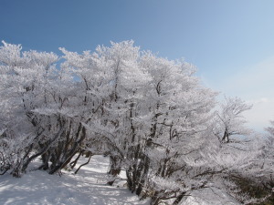 御在所岳-07