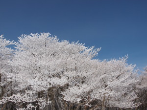 御在所岳-08