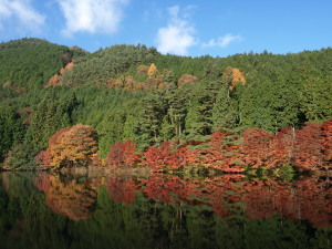 伊那ヶ湖　Inagako