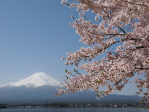 河口湖　Kawaguchiko