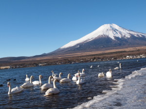 山中湖　Yamanakako