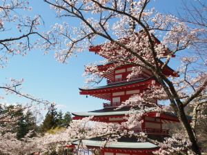 新倉山浅間公園　Niikurayama Sengen Park