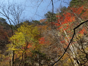 西沢渓谷　Nishizawa Valley