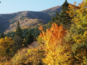 富士山吉田口五合目　Mt. Fuji Yoshida Trail 5th station