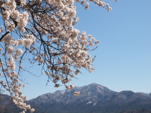 新倉山浅間公園-01