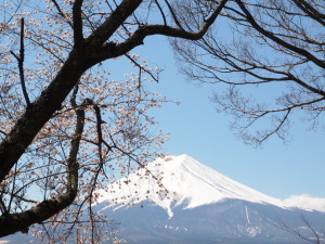 新倉山浅間公園-04