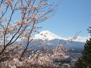 新倉山浅間公園-05