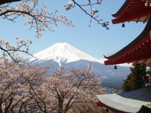 新倉山浅間公園-08