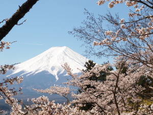 新倉山浅間公園-09