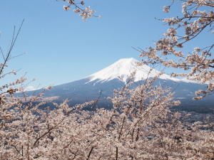 新倉山浅間公園-11