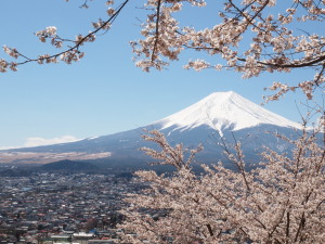 新倉山浅間公園-12