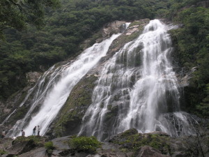 屋久島-08