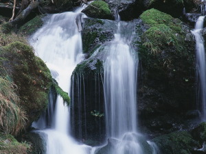 抱返り渓谷-08