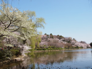 三ッ池公園　Mitsuike Park