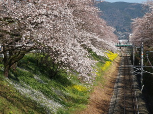 山北町　Yamakitacho