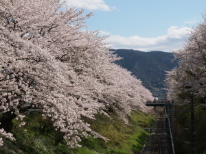 山北町-06