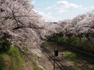 山北町-08