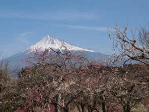 岩本山公園-01