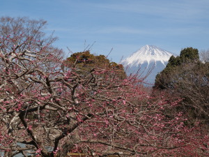 岩本山公園-04