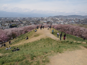 弘法山古墳　Mt. Kobo Tomb