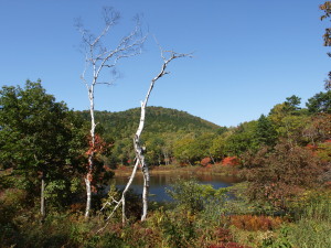 志賀高原　Shiga Kogen