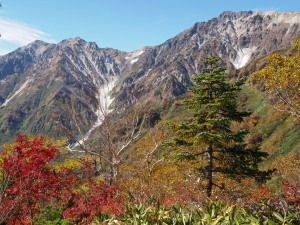 栂池自然園　Tsugaike Natural Garden