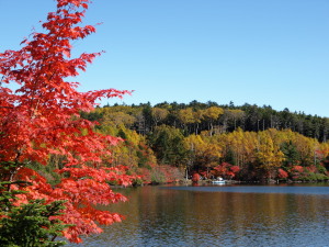 白駒の池　Shirakoma Pond