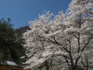 大西公園　Onishi Park