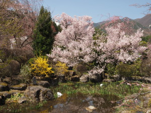 光前寺　Kozen-ji Temple