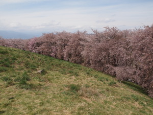 弘法山古墳-04